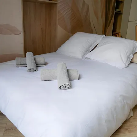 Les Renards De St Sernin - Magnifique T3 A * טולוז