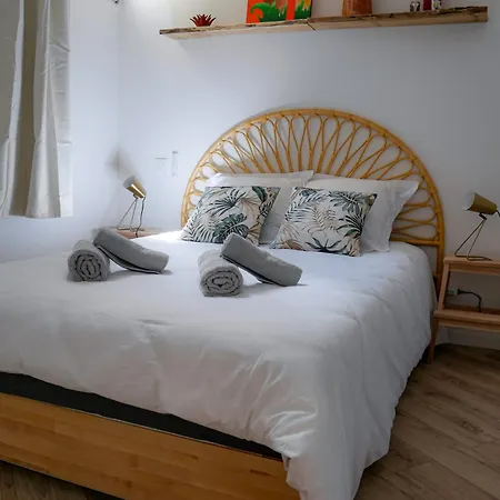 Les Renards De St Sernin - Magnifique T3 A Тулуза