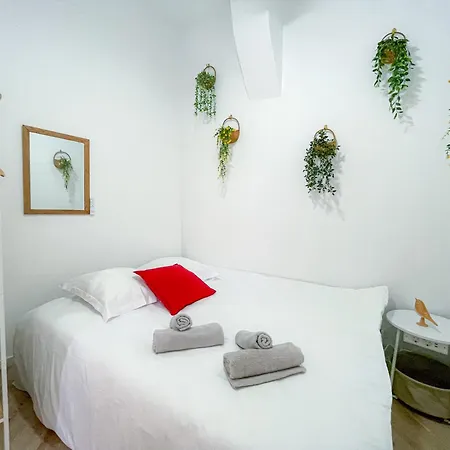 Les Renards De St Sernin - Magnifique T3 A