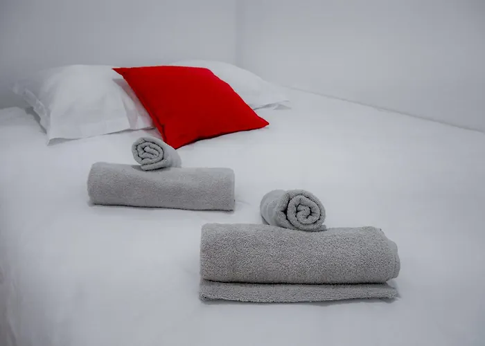 Les Renards De St Sernin - Magnifique T3 A Toulouse