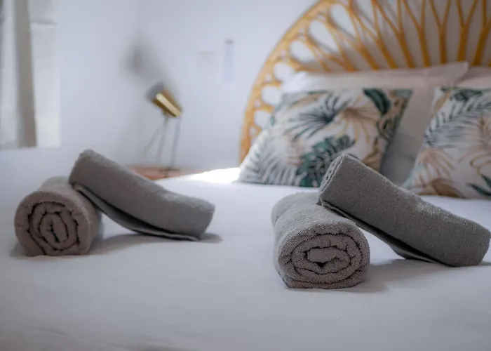 Les Renards De St Sernin - Magnifique T3 A *