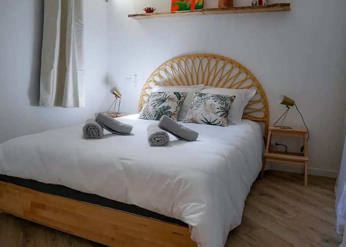 Les Renards De St Sernin - Magnifique T3 A トゥールーズ