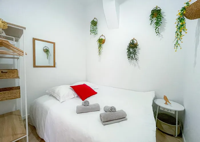 Les Renards De St Sernin - Magnifique T3 A