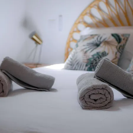 Les Renards De St Sernin - Magnifique T3 A *