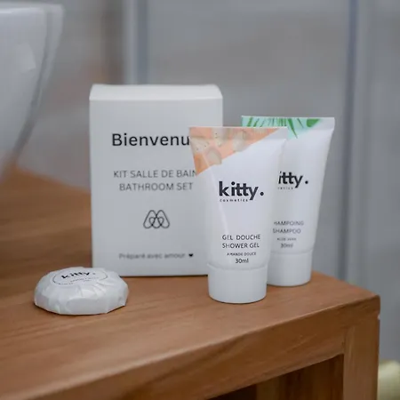 Les Renards De St Sernin - Magnifique T3 A *