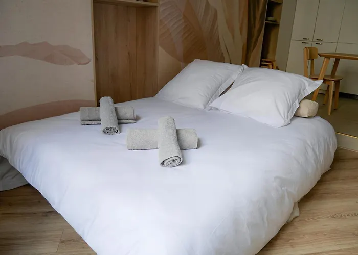 Les Renards De St Sernin - Magnifique T3 A * Toulouse