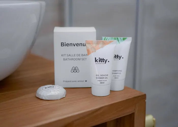 Les Renards De St Sernin - Magnifique T3 A *