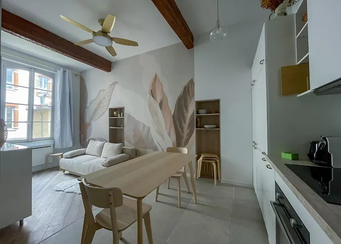 Les Renards De St Sernin - Magnifique T3 A Apartment *